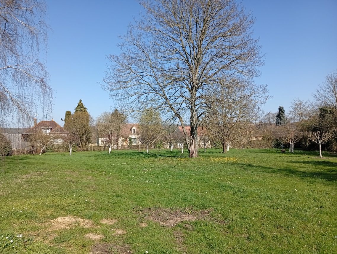 le jardin