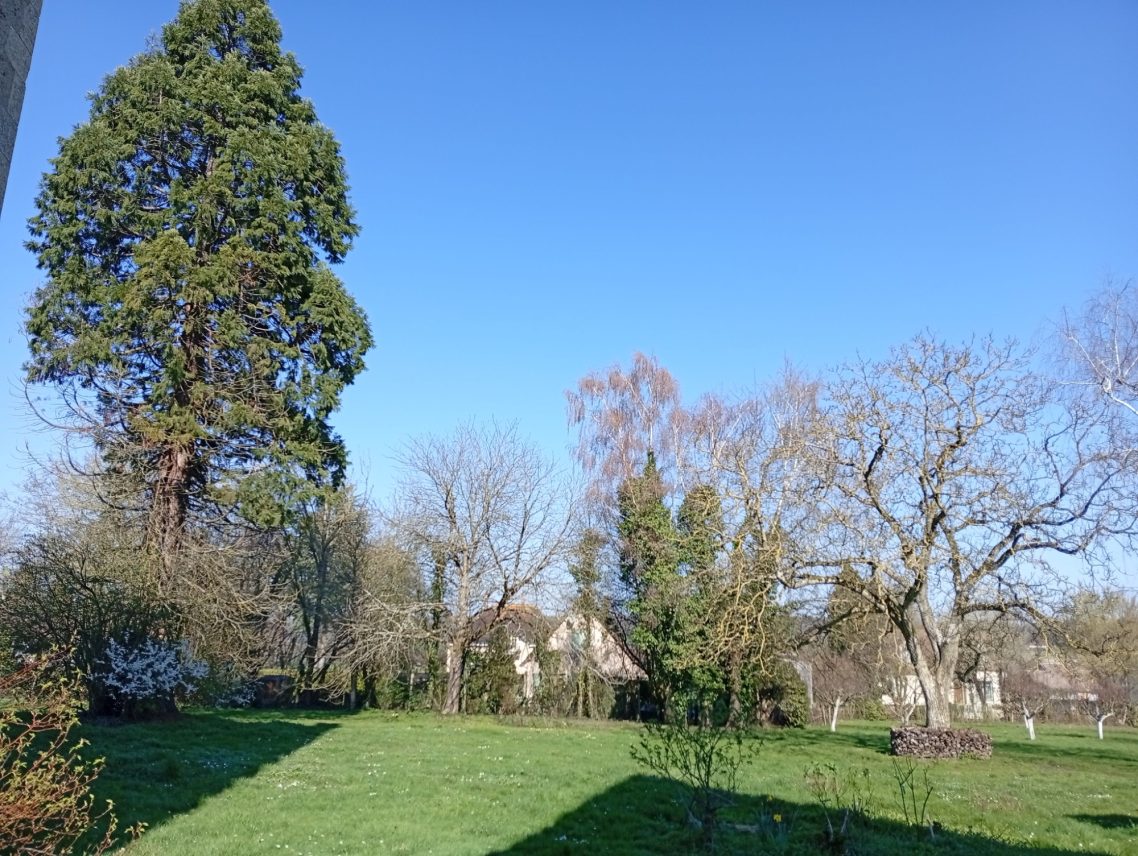 le jardin